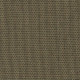 5450 Canvas Lichen